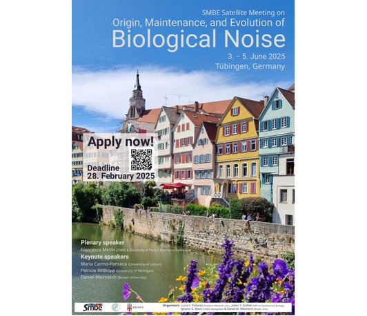 SMBE Satellite Meeting on Origin, Maintenance and Evolution of Biological Noise
